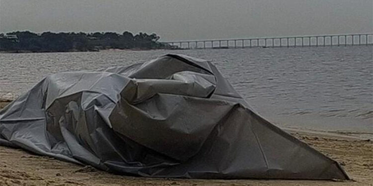 Corpo é encontrado boiando na praia da Ponta Negra Expresso AM