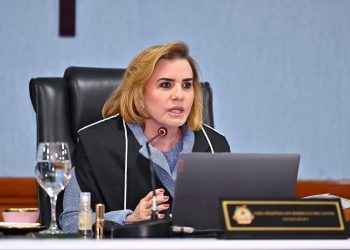 O assunto foi colocado para discussão durante a reunião plenária e aprovado por unanimidade pelos membros. Foto: Joel Arthus