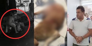 Vídeo: Homem flagrado esfaqueando cachorro no Lírio do Vale é preso; animal morreu